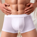 Kit 8 Cuecas Premium Respiráveis - Bamboobox® [PAGUE 4 LEVE 8] + Brinde (6 Meias)