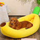 Fofura Bed - Cama Para Pets Macia Antiderrapante + BRINDE