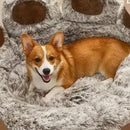 Patinhas Relax  - Cama Para Pets Macia Antiderrapante + BRINDE