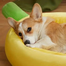 Fofura Bed - Cama Para Pets Macia Antiderrapante + BRINDE